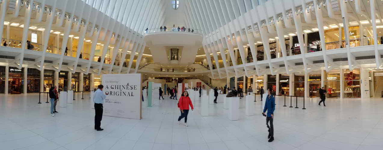 NYC_2020-01-29 13-37-14_CELL_20200129_133705